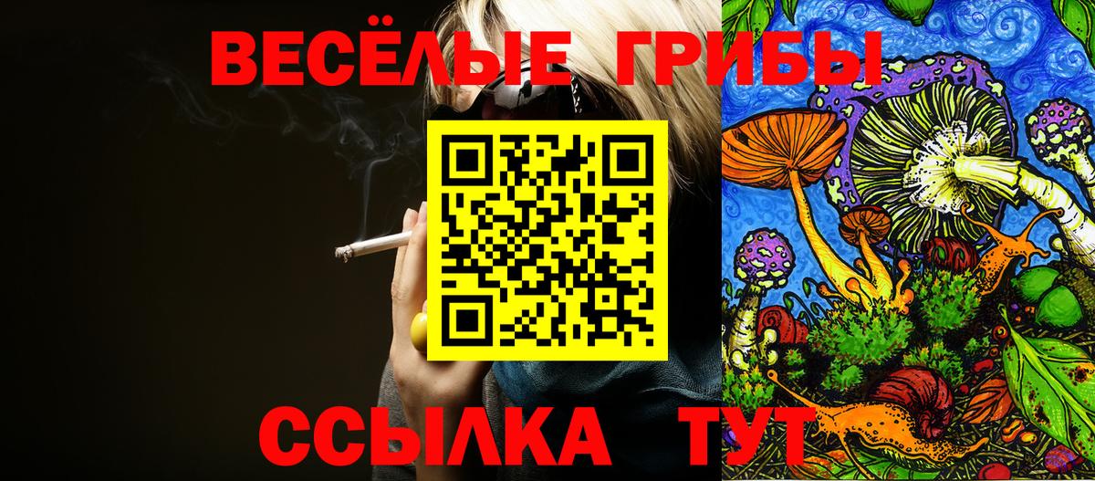 Чехов  Псилоцибиновые грибы Cubensis  Вход с VPN  как найти   Псилоцибиновые грибы Psilocybine cubensis 